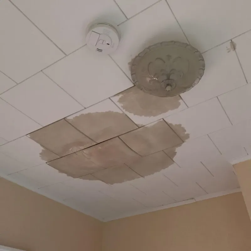 Ceiling Water Damage Repair in Byhalia, MS