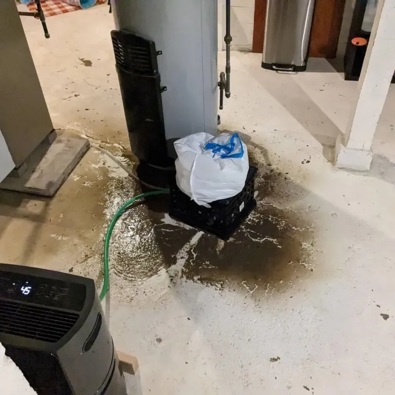 Sewage Backup Cleanup Service in Byhalia, MS